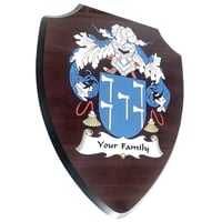 Luxury Coat of Arms Plaque (bevelled edge) 7x9".  Ideal for Family, Clubs, Sports, & City