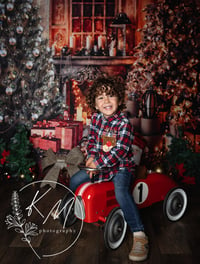 Image 1 of Christmas Mini Sessions - Dogs Welcome -November 16th