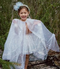 Image 3 of Winter Wonderland dress-up accessories