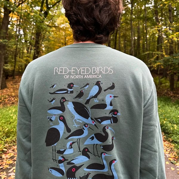 Image of Red-Eyed Birds Sweatshirt