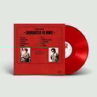 Image 2 of Guaranteed to Shine Vinyl 