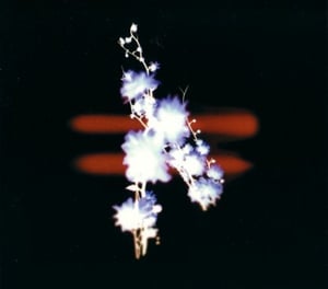 Image of Turn - Forward