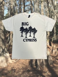 Big Cypress