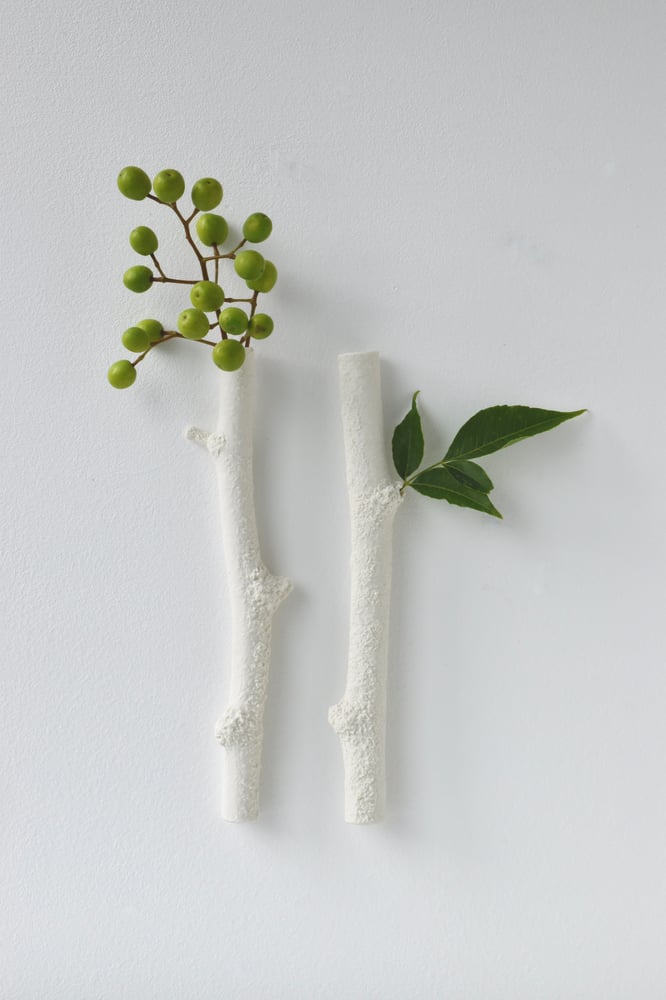 Image of TWIGS