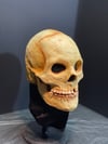 Skull - Wearable Latex Mask