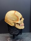 Skull - Wearable Latex Mask