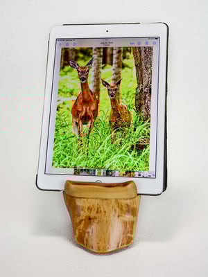 Image of Handmade Ash wood cell or ipad tablet stand for office desk or table