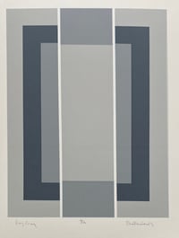 Image 1 of LONG GREY