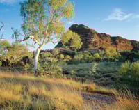 Image 4 of Australia Dawn till Dusk