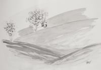 Rolling hills in the Tweed