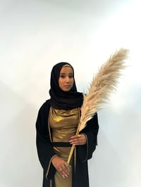 Image 1 of Radiance 