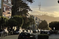 Image 2 of Dusty Sutro