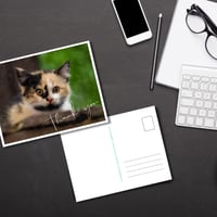 Image 5 of Printable 4x6 Lounging Baby Kitten Thank You Postcard (Set of 5) by Jeanetta Richardson 