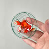 Goldfish Clear Vinyl Sticker