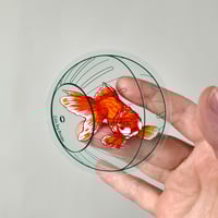 Image 1 of Goldfish Clear Vinyl Sticker