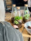 Bottle Garden Terrarium Workshop