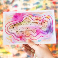 Image 2 of Rainbow Trout