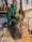 Image of Chameleon Carving