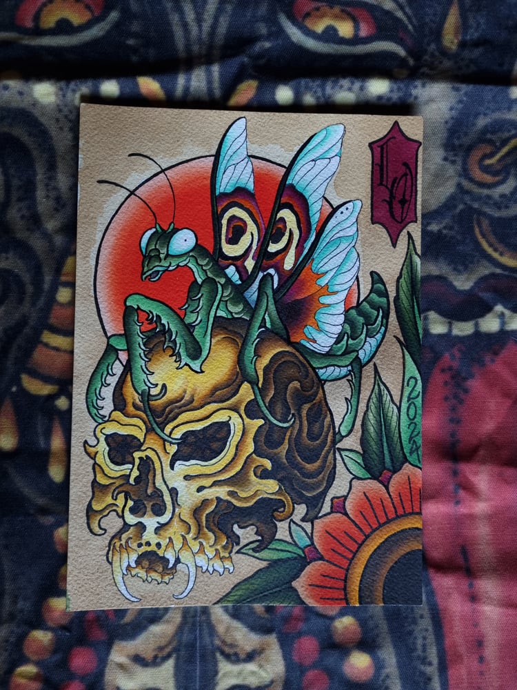 Image of Mantis Skull