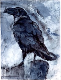 Image 1 of Raven Sketch