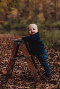 Image 2 of Fall Mini Session | Sunday, October 13th | Bay Village