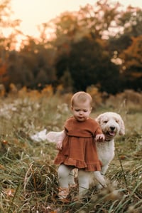 Image 3 of Fall Mini Session | Sunday, October 13th | Bay Village
