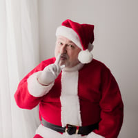 Image 2 of November 30, 2024 Santa Mini Session