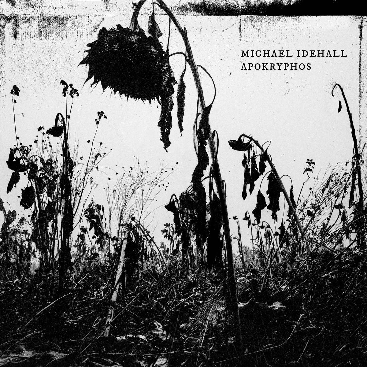 Michael Idehall - Apokryphos 7" + Book (Ant-Zen)