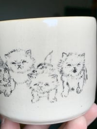 Image 4 of “Council has decided “ cup