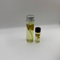 Image 1 of 4-Leaf Clover (Trifolium repens) Wet Specimen