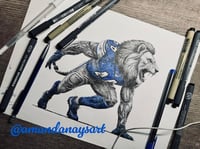 Image 2 of Detroit Lions