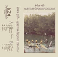 Image 2 of Lavina Yelb 'Apapneas Hypmne Somome' cassette 