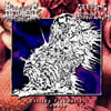 Rottenness / Seeping Protoplasm -  Rotting Plasmatic Domain Split CD (Japanese Import)