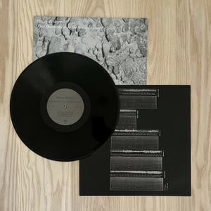 Image of Henry Birdsey - Two Harmonicas in the Jeweler's Court (LP, 2024, Poole Music)