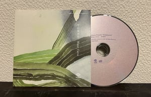 Image of Torso - Water Curve (CD, 2024, Ozato)