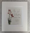 Red Tulips