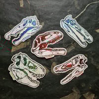 Image 3 of Dinosaur Skulls - Carnivores - High Quality Clear Vinyl Stickers - Choose Your Own!