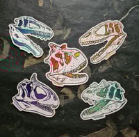 Image 4 of Dinosaur Skulls - Carnivores - High Quality Clear Vinyl Stickers - Choose Your Own!