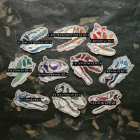 Image 2 of Dinosaur Skulls - Carnivores - High Quality Clear Vinyl Stickers - Choose Your Own!