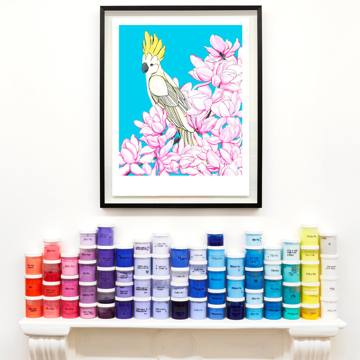 Products | Fran Giffard's Shop