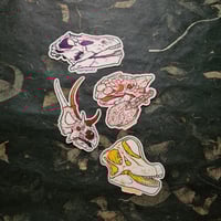 Image 3 of Dinosaur Skulls - Herbivores - High Quality Clear Vinyl Stickers - Choose Your Own!