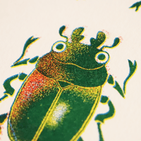 Image 5 of Beetles Riso Print