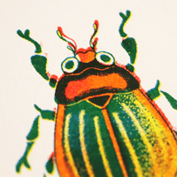 Image 4 of Beetles Riso Print