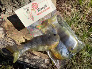 Image of Bob’s Bluegill 2pk (Fall Gill)