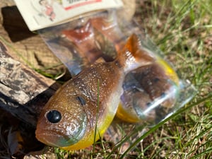 Image of Bob’s Bluegill 2pk (Show Stopper)