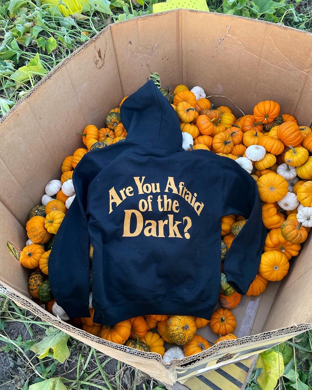 “Are You Afraid of the Dark?”