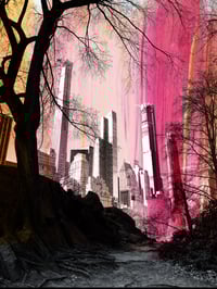 Image 2 of Central Park 