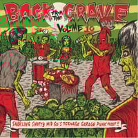 V/A "Back From The Grave, Volume 10" LP