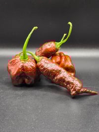 Image 2 of Extra Hot Chocolate Sauce