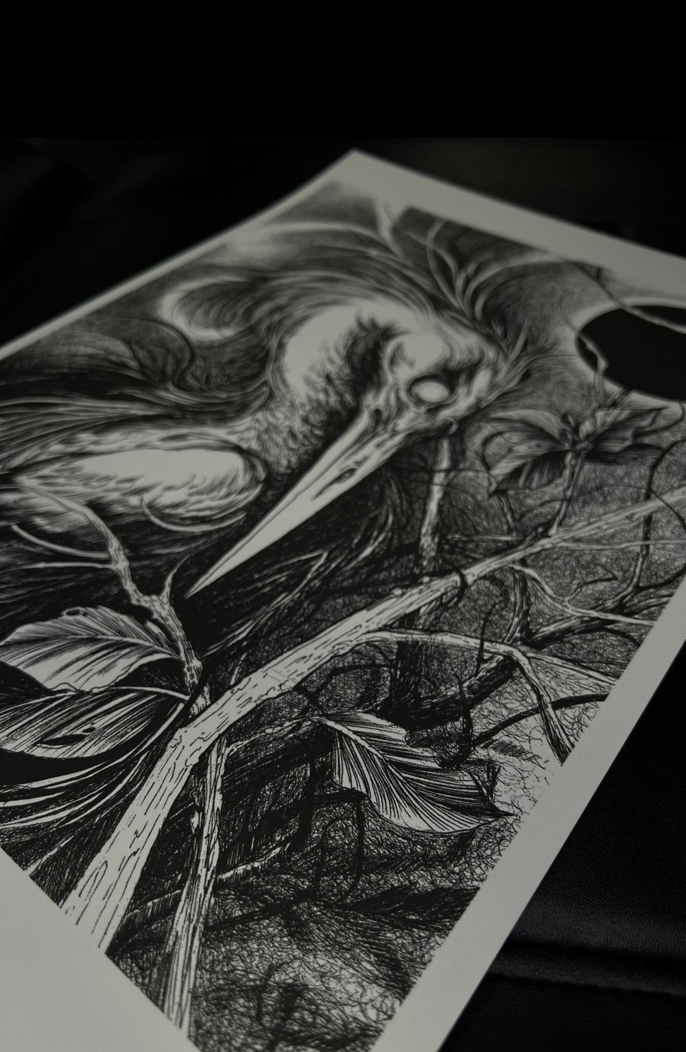 BLACK MOON CRANE